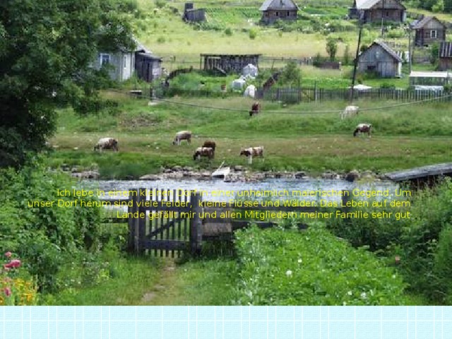 Ich lebe in einem kleinen Dorf in einer unheimlich malerischen Gegend. Um unser Dorf herum sind viele Felder, kleine Flüsse und Wälder. Das Leben auf dem Lande gefällt mir und allen Mitgliedern meiner Familie sehr gut