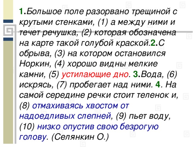 1 . Большое поле разорвано трещиной с крутыми стенками, (1) а между ними и течет речушка, (2) которая обозначена на карте такой голубой краской. 2 . С обрыва, (3) на котором остановился Норкин, (4) хорошо видны мелкие камни, (5) устилающие дно . 3 . Вода, (6) искрясь, (7) пробегает над ними. 4 . На самой середине речки стоит теленок и, (8) отмахиваясь хвостом от надоедливых слепней , (9) пьет воду, (10) низко опустив свою безрогую голову . (Селянкин О.)