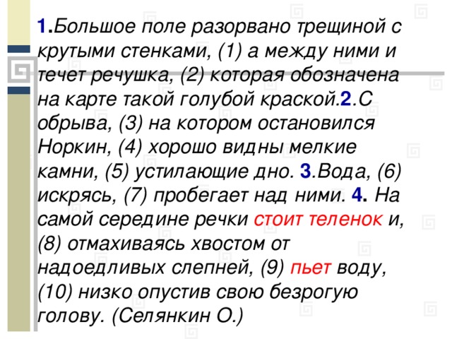 1 . Большое поле разорвано трещиной с крутыми стенками, (1) а между ними и течет речушка, (2) которая обозначена на карте такой голубой краской. 2 .С обрыва, (3) на котором остановился Норкин, (4) хорошо видны мелкие камни, (5) устилающие дно. 3 .Вода, (6) искрясь, (7) пробегает над ними. 4 . На самой середине речки стоит теленок и, (8) отмахиваясь хвостом от надоедливых слепней, (9) пьет воду, (10) низко опустив свою безрогую голову. (Селянкин О.)