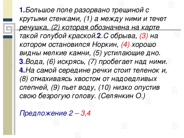 1 . Большое поле разорвано трещиной с крутыми стенками, (1) а между ними и течет речушка, (2) которая обозначена на карте такой голубой краской. 2 .С обрыва, (3) на котором остановился Норкин, (4) хорошо видны мелкие камни, (5) устилающие дно. 3 .Вода, (6) искрясь, (7) пробегает над ними. 4 . На самой середине речки стоит теленок и, (8) отмахиваясь хвостом от надоедливых слепней, (9) пьет воду, (10) низко опустив свою безрогую голову. (Селянкин О.)  Предложение 2 – 3,4