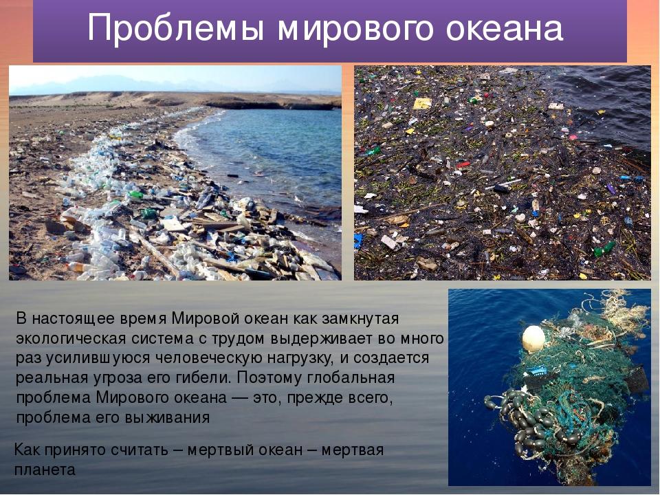 Проблемы южной россии. Проблемы мирового океана. Экологические проблемы океанов. Проблема загрязнения океанов. Загрязнение мирового океана задачи.