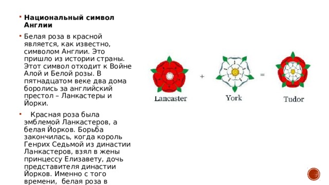 Национальный символ Англии ￼ Белая роза в красной является, как известно, символом Англии. Это пришло из истории страны. Этот символ отходит к Войне Алой и Белой розы. В пятнадцатом веке два дома боролись за английский престол – Ланкастеры и Йорки.  Красная роза была эмблемой Ланкастеров, а белая Йорков. Борьба закончилась, когда король Генрих Седьмой из династии Ланкастеров, взял в жены принцессу Елизавету, дочь представителя династии Йорков. Именно с того времени, белая роза в красной является символом Англии.