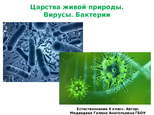 Царства живой природы.  Вирусы. Бактерии Естествознание 6 класс. Автор: Медведева Галина Анатольевна ГБОУ Школа№2116