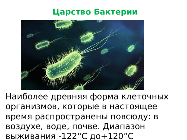 Царство Бактерии Наиболее древняя форма клеточных организмов, которые в настоящее время распространены повсюду: в воздухе, воде, почве. Диапазон выживания -122°C до+120°C