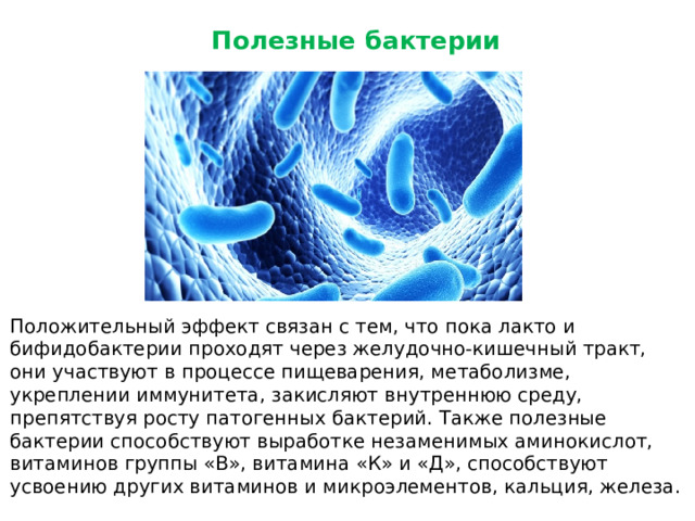 Полезные бактерии Положительный эффект связан с тем, что пока лакто и бифидобактерии проходят через желудочно-кишечный тракт, они участвуют в процессе пищеварения, метаболизме, укреплении иммунитета, закисляют внутреннюю среду, препятствуя росту патогенных бактерий. Также полезные бактерии способствуют выработке незаменимых аминокислот, витаминов группы «В», витамина «К» и «Д», способствуют усвоению других витаминов и микроэлементов, кальция, железа.