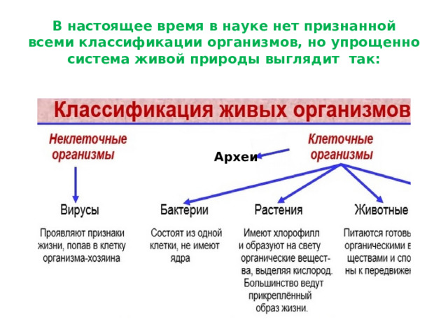 В настоящее время в науке нет признанной всеми классификации организмов, но упрощенно система живой природы выглядит так: Археи