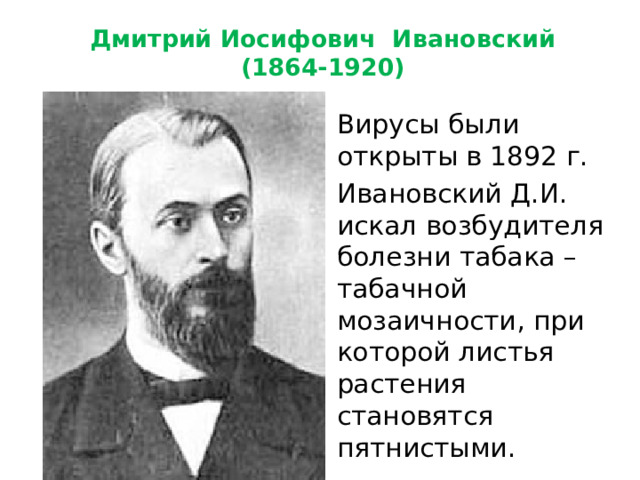 Дмитрий Иосифович Ивановский  (1864-1920) Вирусы были открыты в 1892 г. Ивановский Д.И. искал возбудителя болезни табака –табачной мозаичности, при которой листья растения становятся пятнистыми.