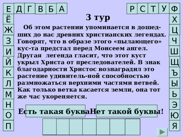 У Ф Т С Г Д А Е Б Р В   3 тур Х Ё     Об этом растении упоминается в дошед-ших до нас древних христианских легендах. Говорят, что в образе этого «пылающего» кус-та предстал перед Моисеем ангел. Другая легенда гласит, что этот куст укрыл Христа от преследователей. В знак благодарности Христос вознаградил это растение удивитель-ной способностью размножаться верхними частями ветвей. Как только ветка касается земли, она тот же час укореняется. Ж Ц Ч З Ш И Щ Й К Ъ Ы Л Ь М Н Э Есть такая буква! Нет такой буквы! О Ю Е Ж Е В И К А Я П