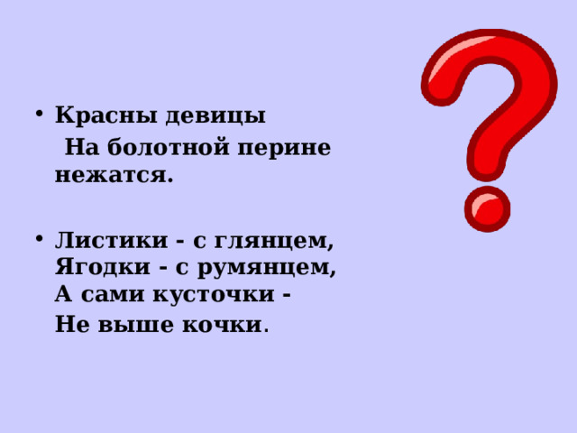 Красны девицы  На болотной перине нежатся.  Листики - с глянцем,  Ягодки - с румянцем,  А сами кусточки -  Не выше кочки .