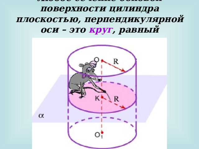 Любое сечение боковой поверхности цилиндра плоскостью, перпендикулярной оси – это круг , равный основанию.
